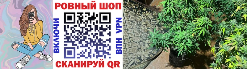 Где купить Окуловка Кокаин МЕФ ГАШИШ МАРИХУАНА
