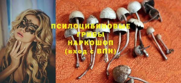 PSILOCYBIN Лиски