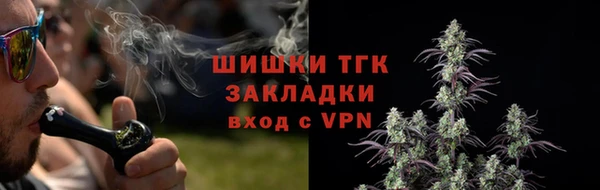 PSILOCYBIN Лиски