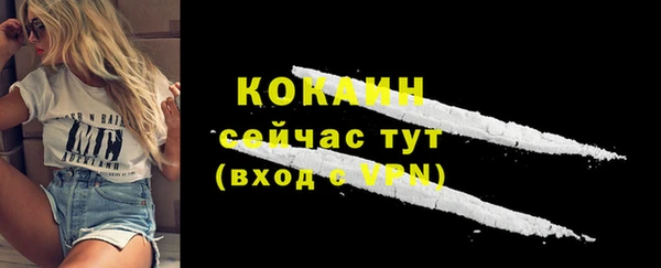 дживик Ладушкин