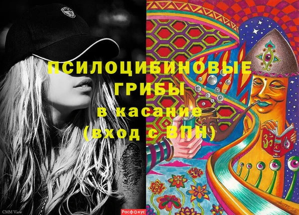 дживик Ладушкин
