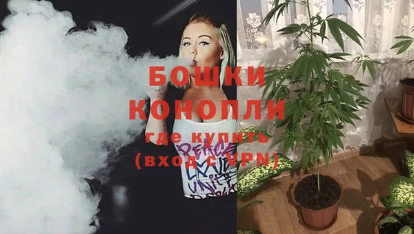 PSILOCYBIN Лиски