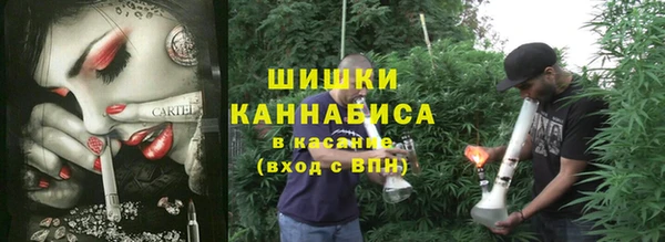 молекула духа Липки