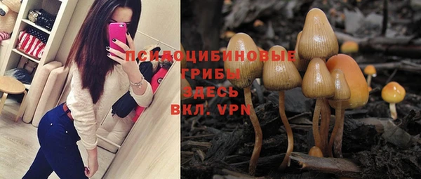 PSILOCYBIN Лиски