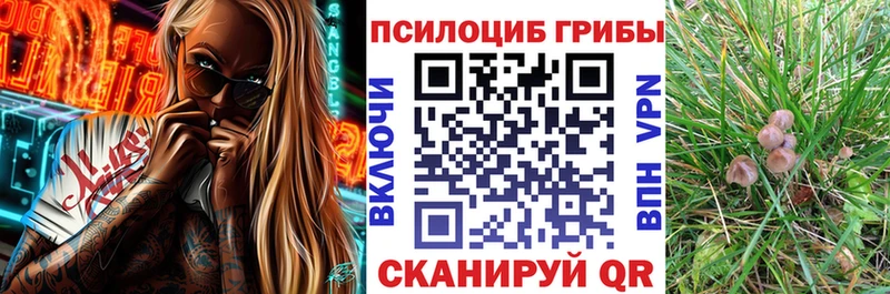 Псилоцибиновые грибы Cubensis  Окуловка 